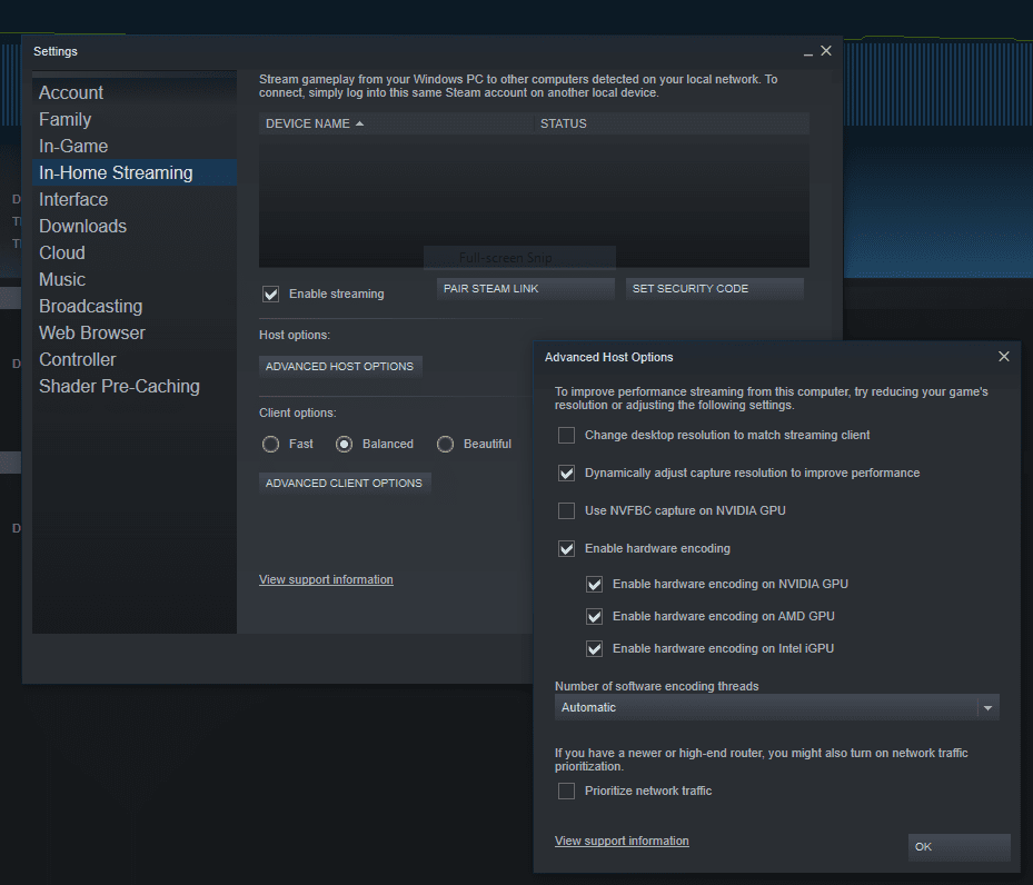 SteamLink Settings