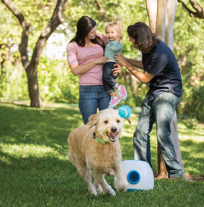 ifetch ball launcher